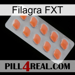 Filagra FXT 26